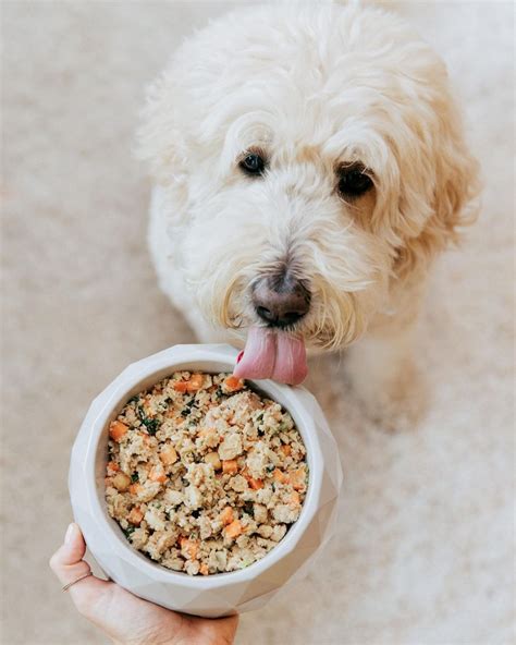 Farners dog - The Farmer's Dog is a pet food service that delivers fresh, human-grade food for dogs. Learn how it started with two dog lovers who wanted to improve their pups' health and well-being. 